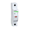 Portafusibile Chint DC 1P 30A 1000V