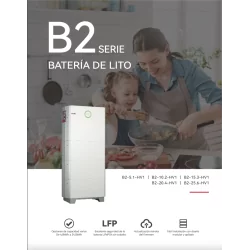 Bms + Kit cables Bateria saj B2 5.1Kw Hv1