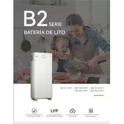 Bms + Kit cavi batteria saj B2 5.1Kw Hv1